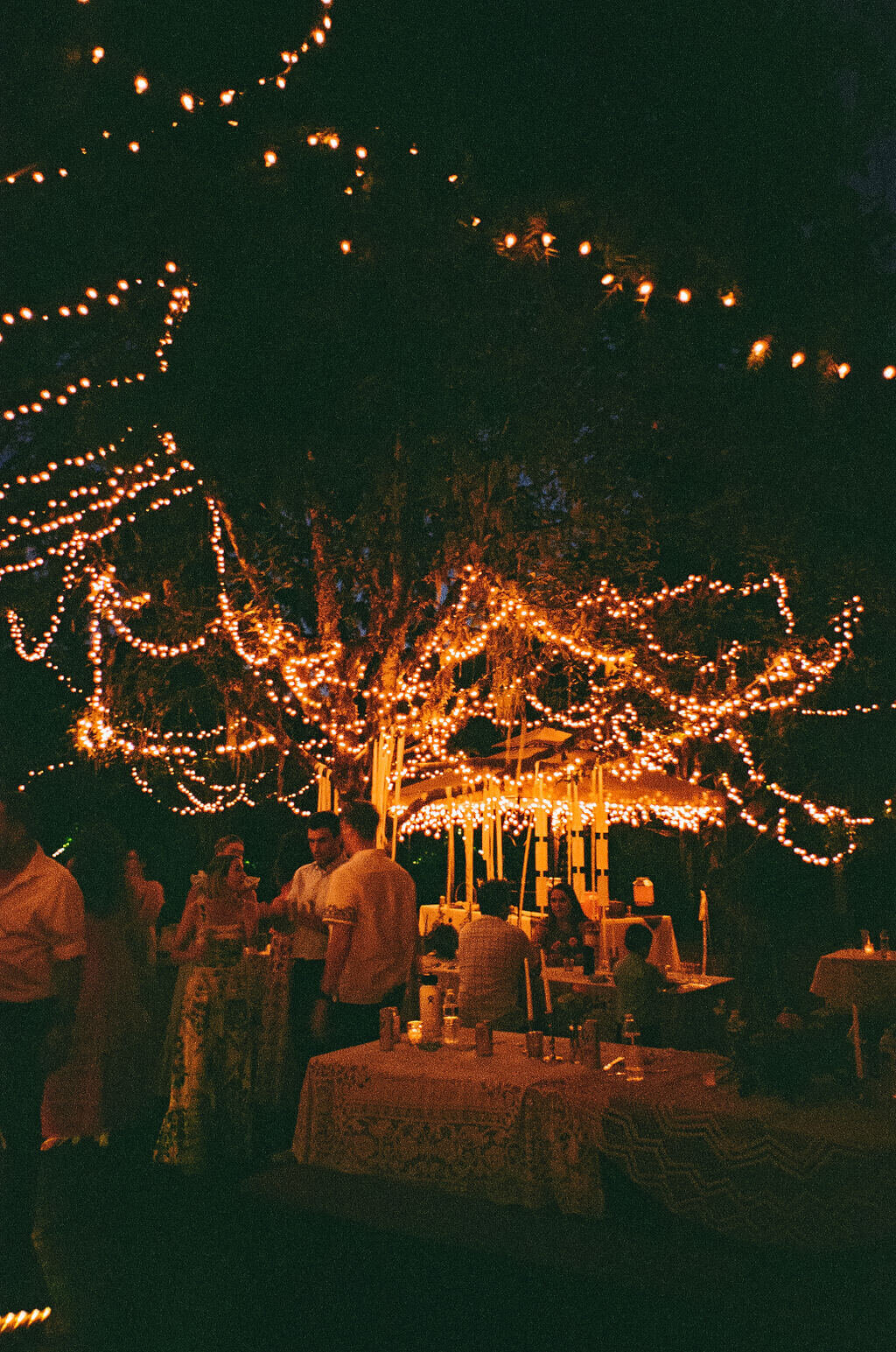 An outdoor Oregon wedding reception that is lit up at night with string lights.