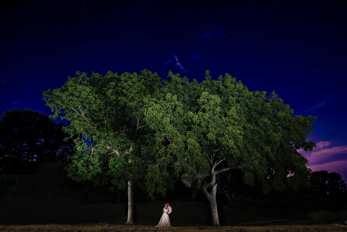 wedding-night-portrait-sky-tree