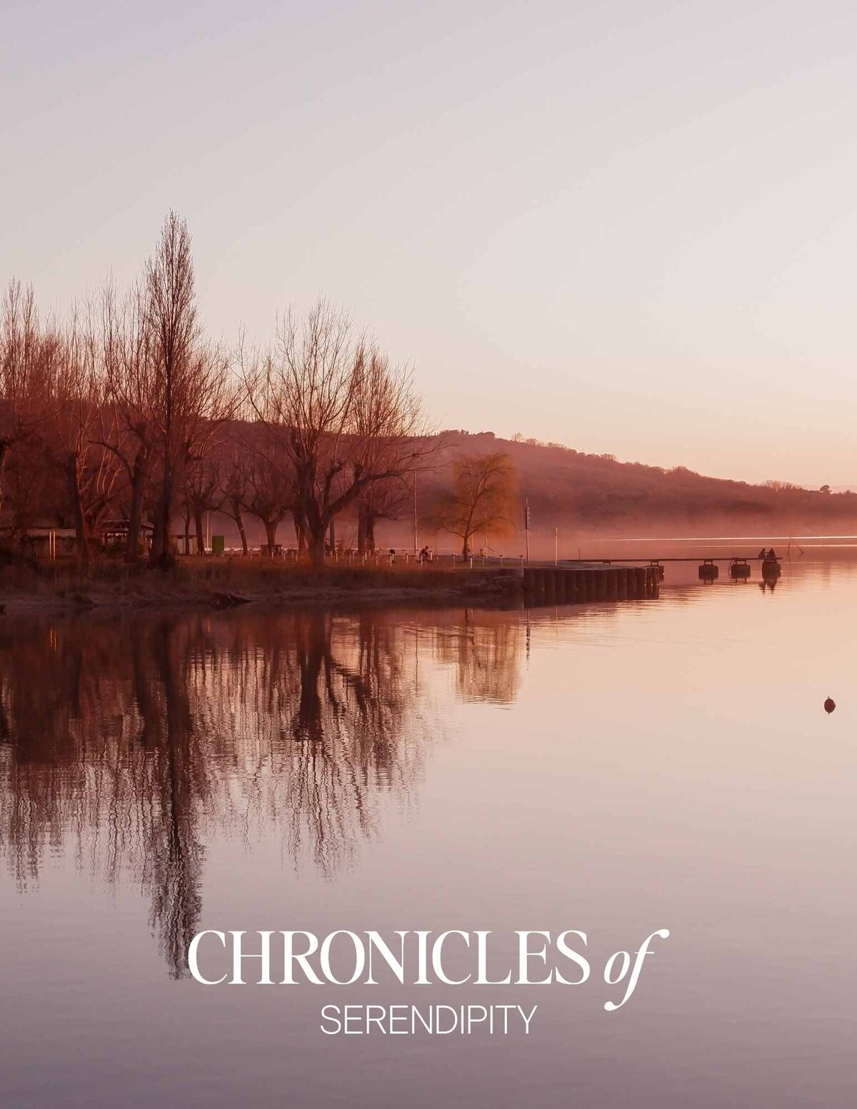 Chronicles of Serendipity