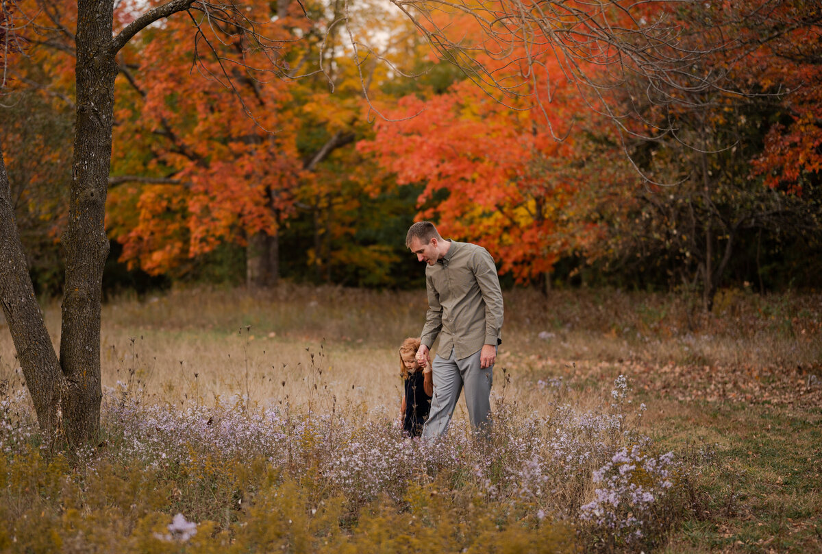 Dad walking with his daughter through purple flowers in a field in metcalfe