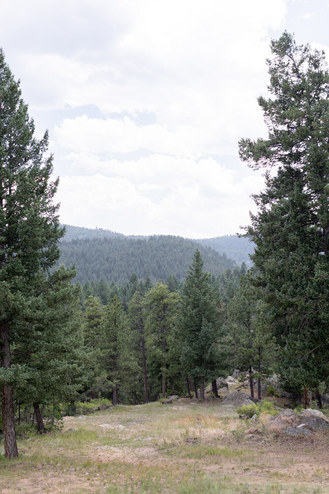 ArianaNicolePhotography-0053-6