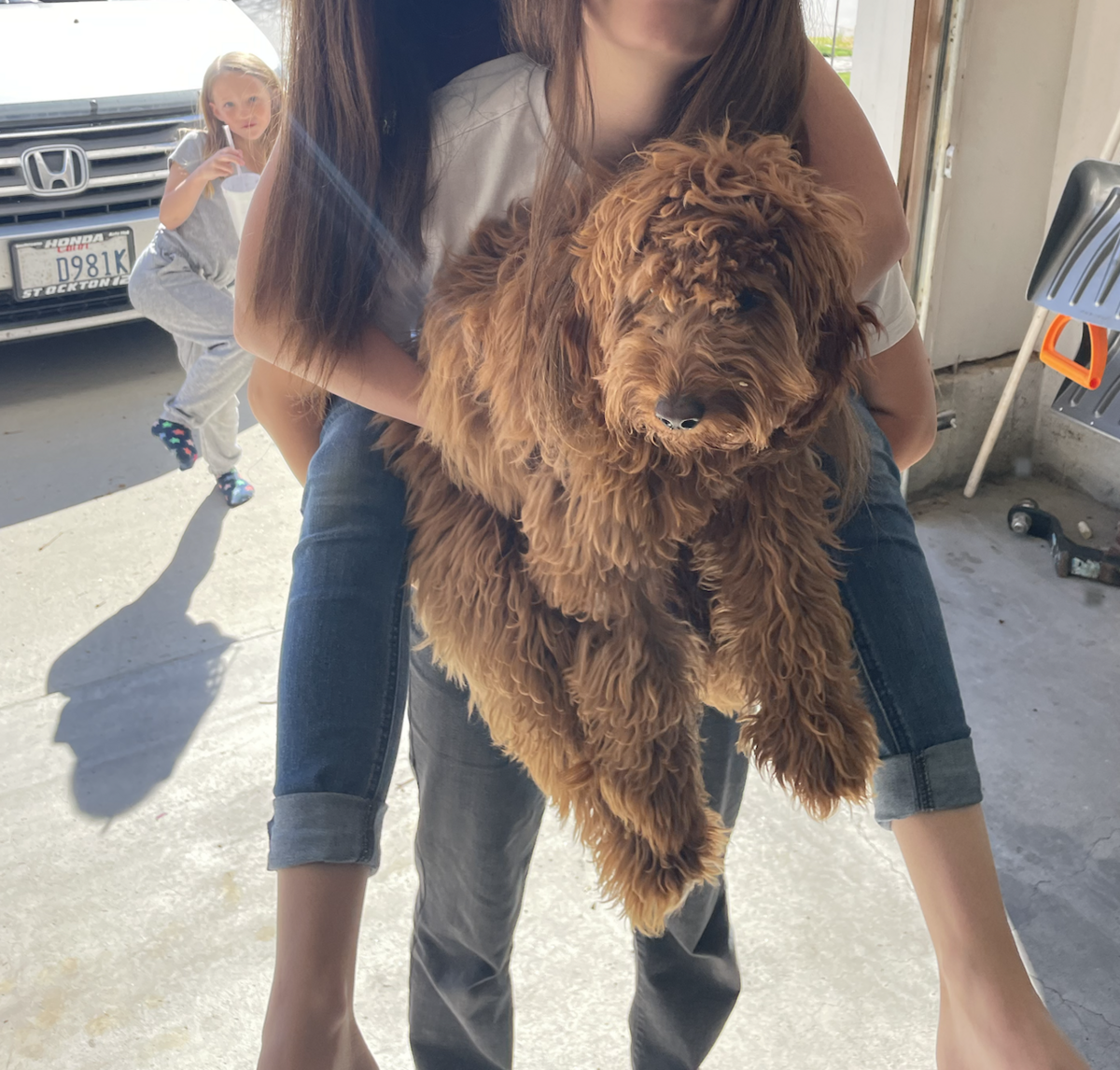 Screenshot 2024-08-29 at 1.05.15 PM