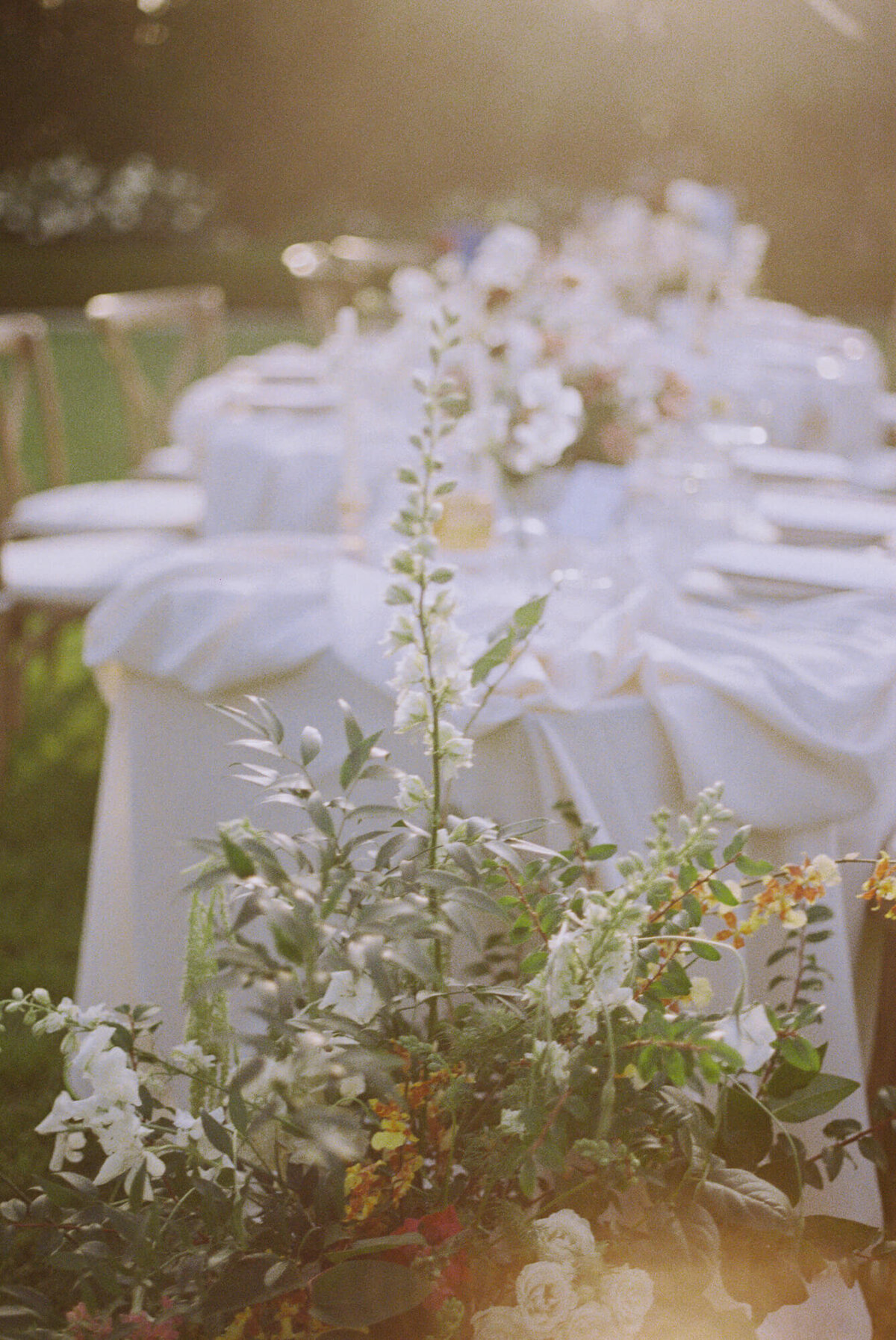Warn and elegant outdoor dining setup with white tablecloths, floral centerpieces, and sunlight filtering through trees.