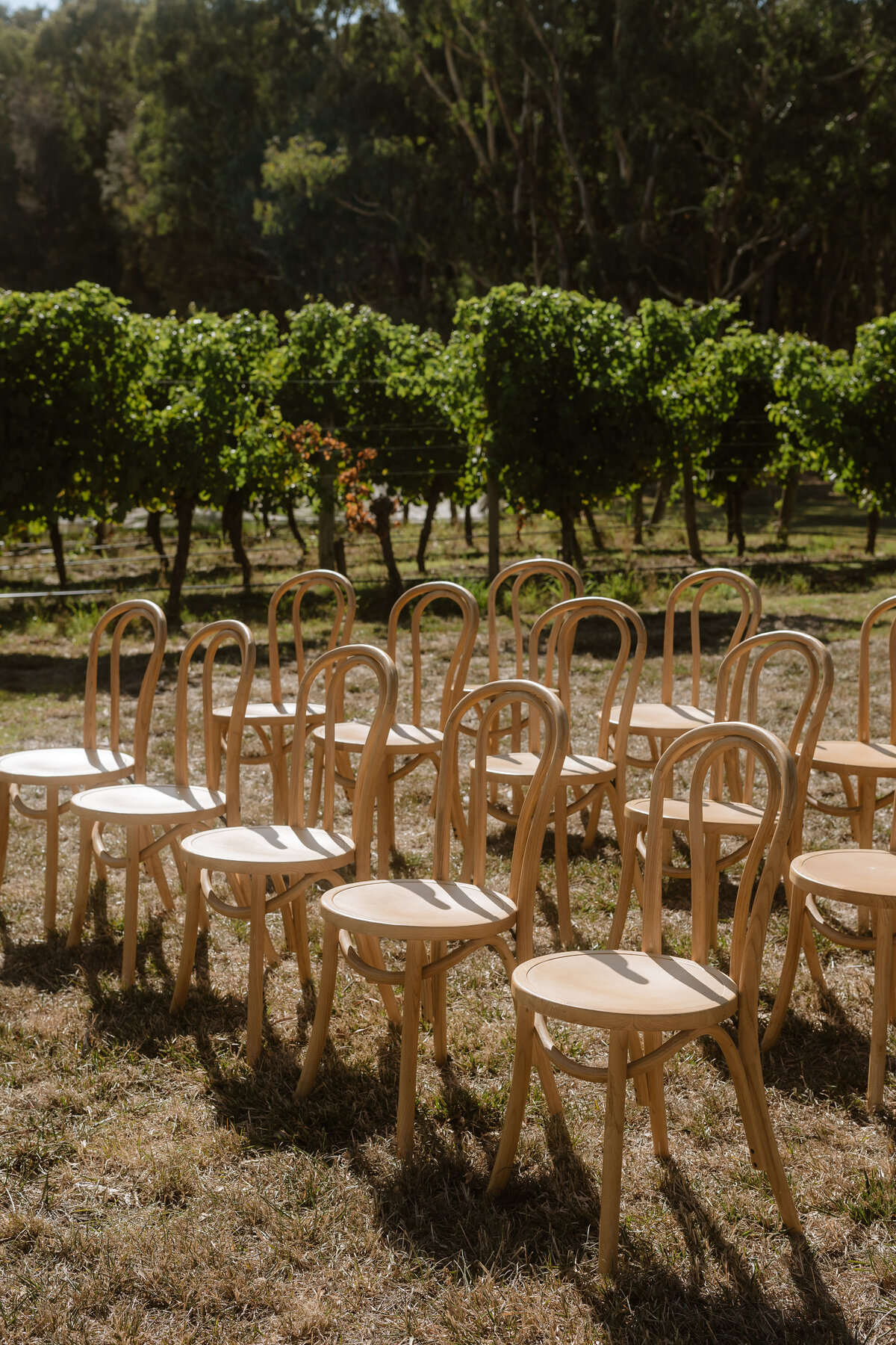 Beautiful outdoor adelaide summer wedding-41