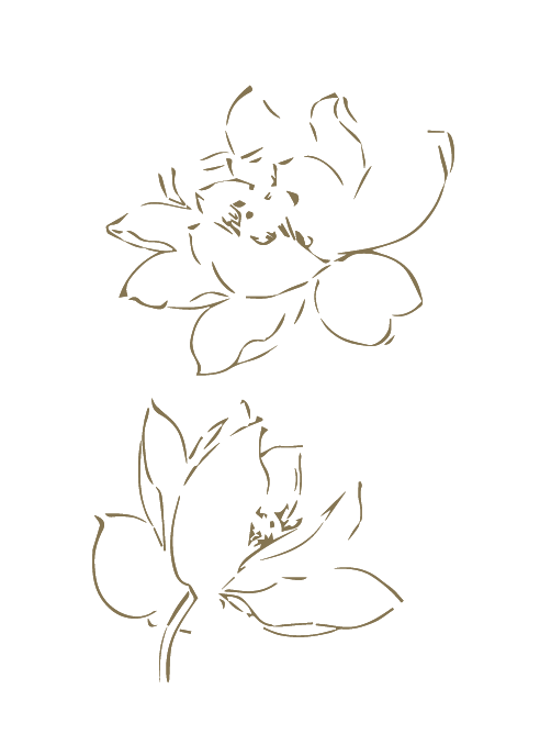 CCC_Templ_Body Illustrations 2-13