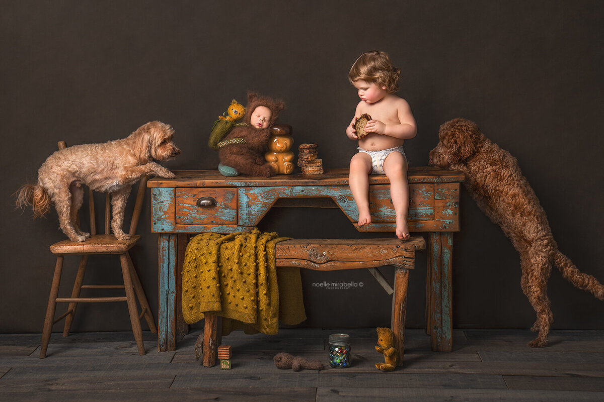 Newborn, baby, and two dogs eating peanut butter sandwiches at the table.