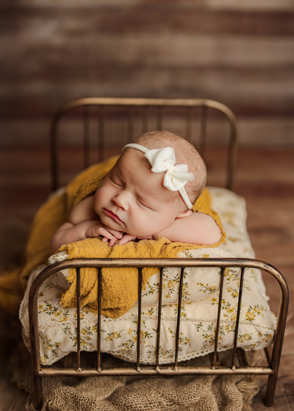 best newborn photographer in ashland city tn