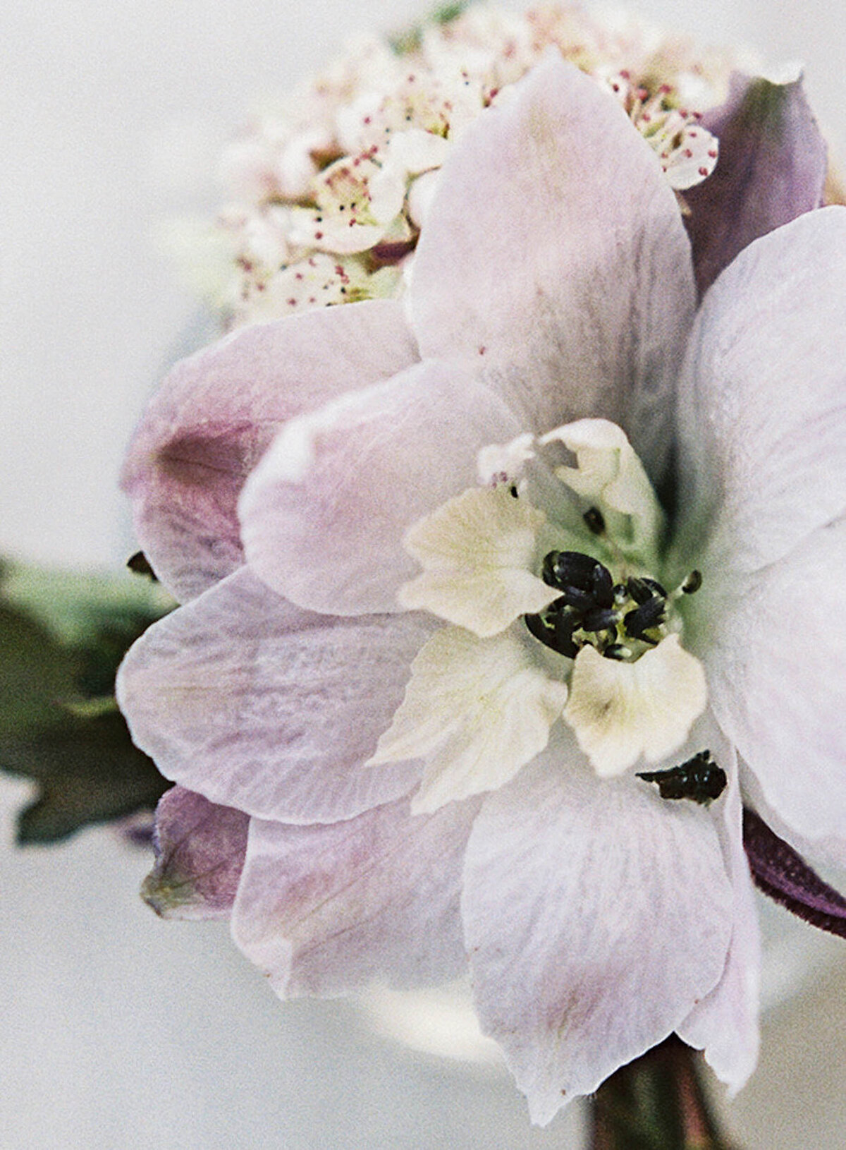 wedding-floral-detail-2