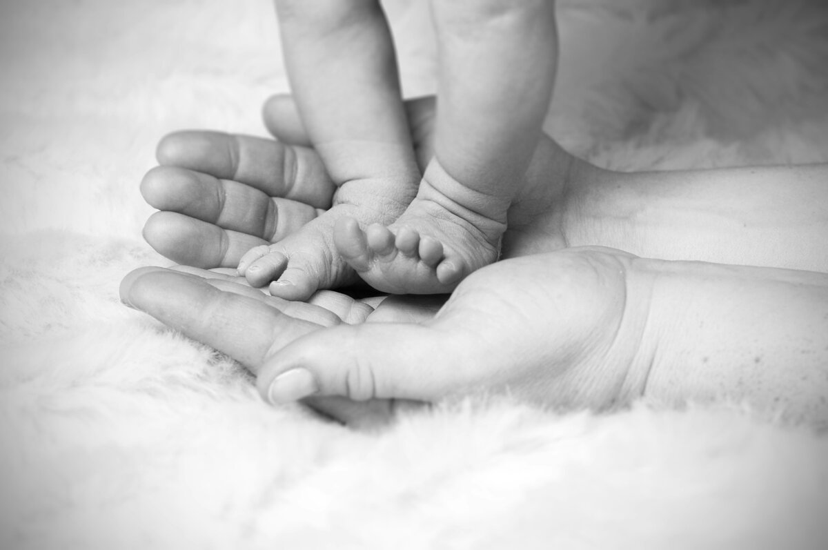 heike-mintel-4vzfUNqi7h4-unsplash