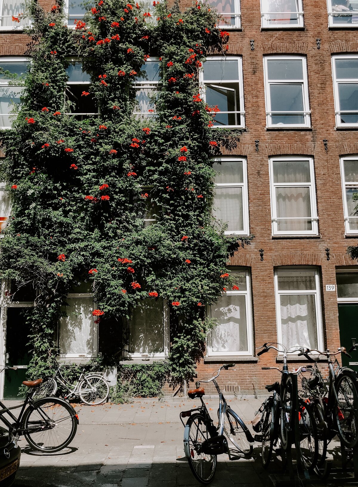 pexels-tiff-ng-2777788