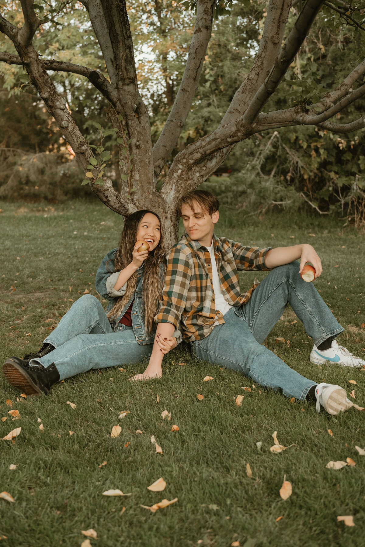 appleorchards-101