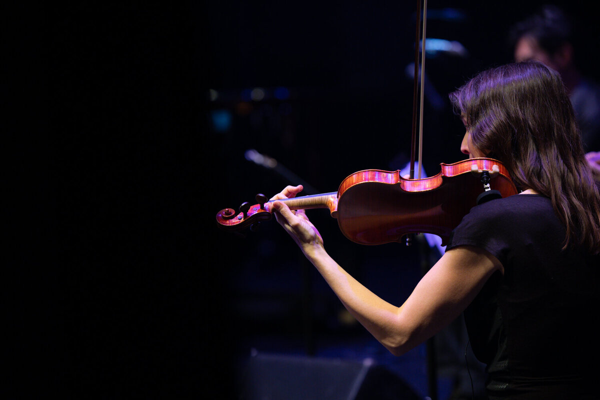 Spectacle groupe Rewild violoniste