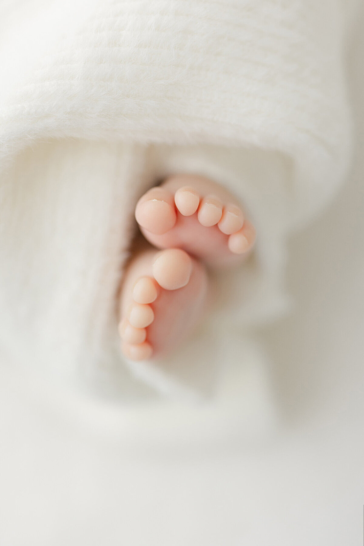 Raleigh-Newborn-Photographer-Pecone-17