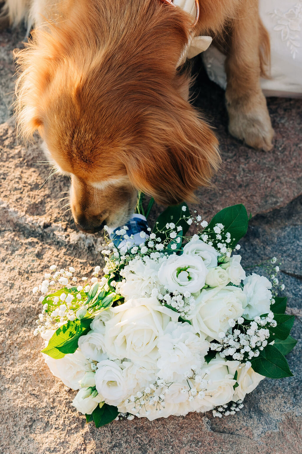 Allie and Ben Sugarloaf Mountain 20