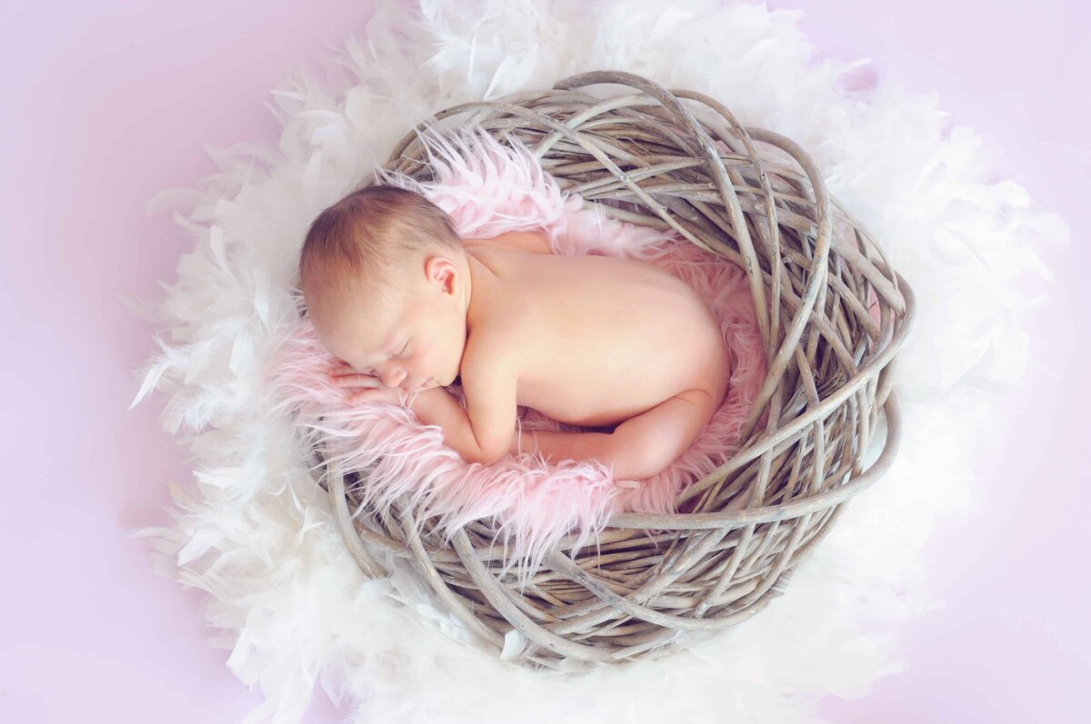 baby-nest