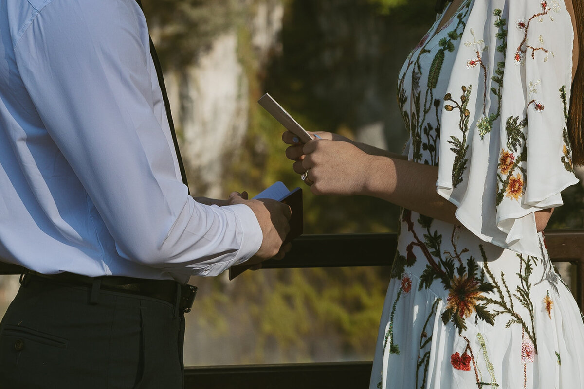 tanya-davids-photo-film-mesa-falls-yellowstone-rexburg-island-park-destination-storytelling-documentary-wedding-elopement-phototgrapher-idaho-48