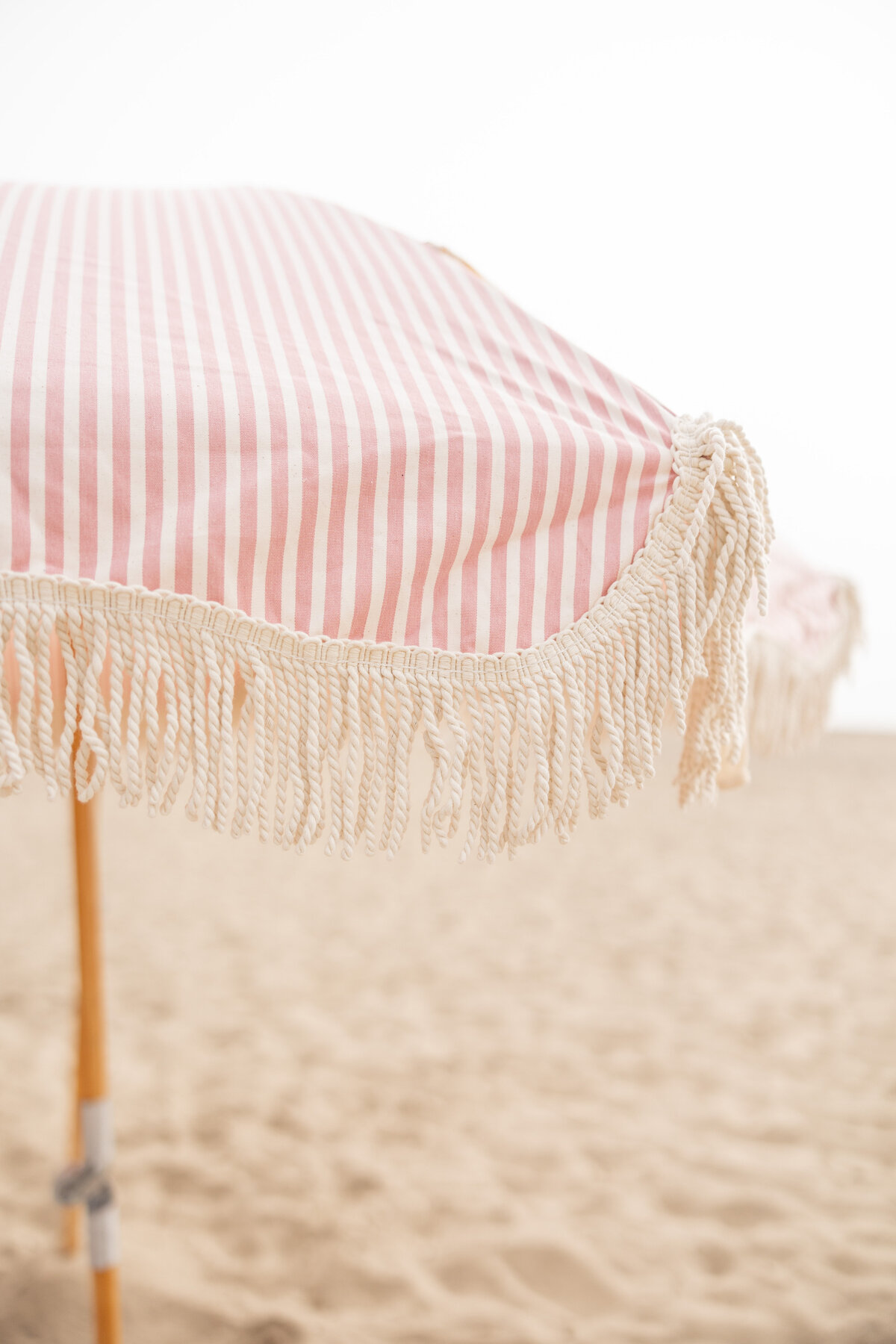 Picnics in Paradise11