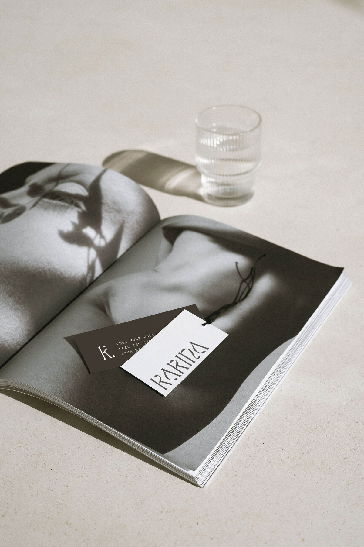 Luxury Pre Made Brand Kit for Coach - Karina Collection The Closers Society