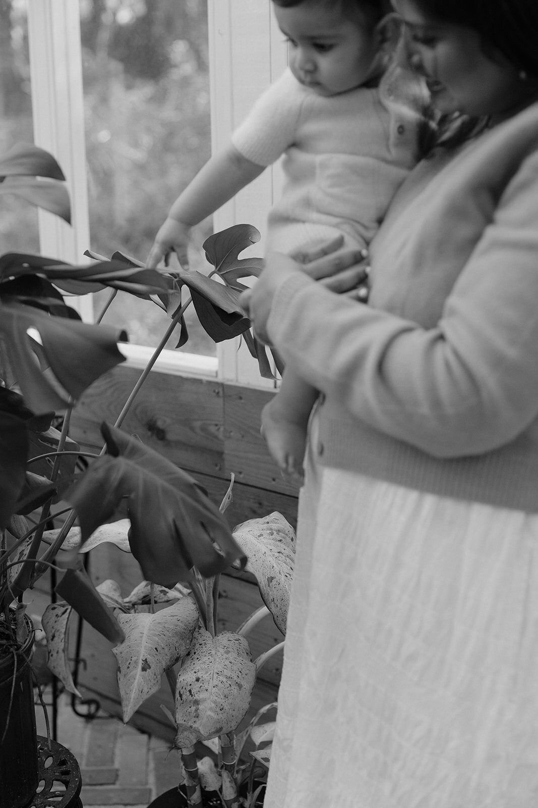 Detail shot of mom and son looking at plants in Salisbury Studios. A greenhouse in Midlothian VA