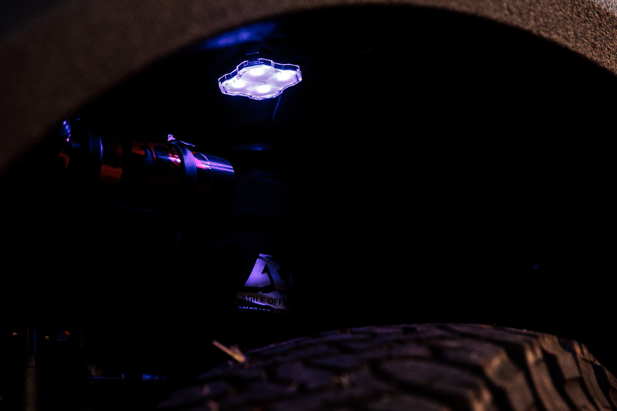 5_WooleyBugger250829_BMV_SlowFastcreative_2052