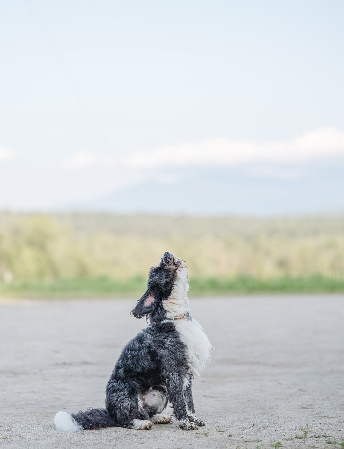 linnea_asa_NewHampshire_RodeoandCo_EventsbySorrell_-38
