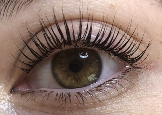 lash6