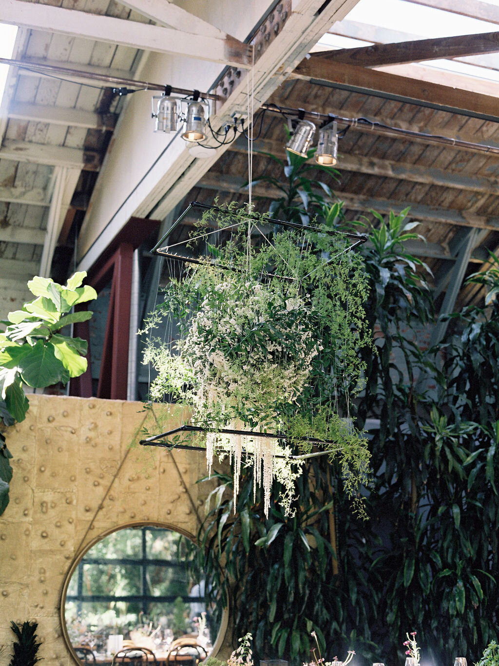 LynnDunston_Anna&Michael-506