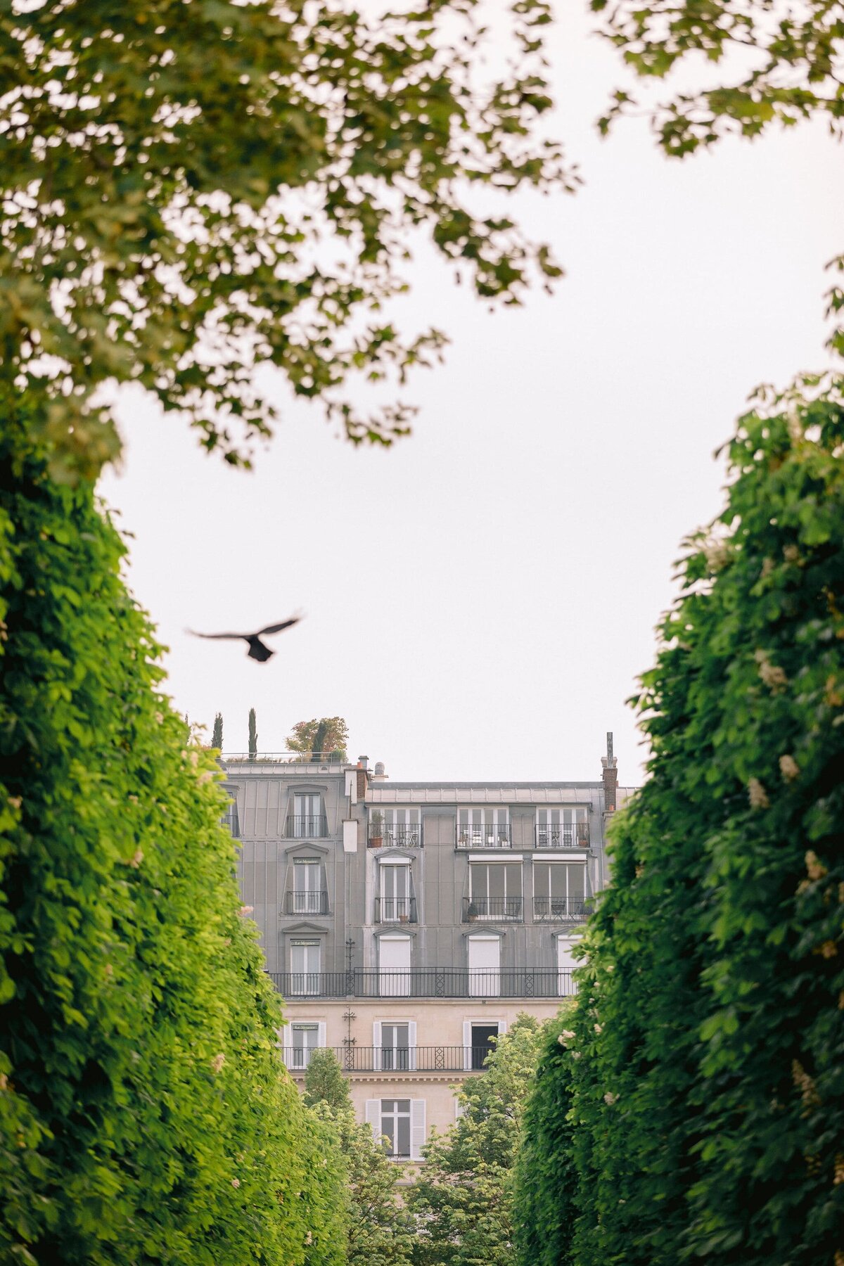 shooting-at-palace-le-meurice-paris7