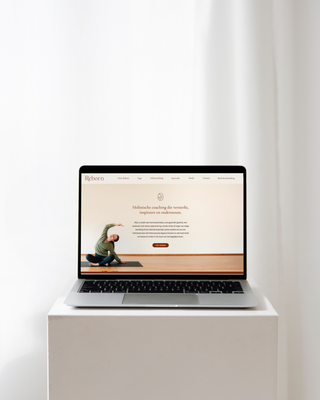 Reborn portfolio-2