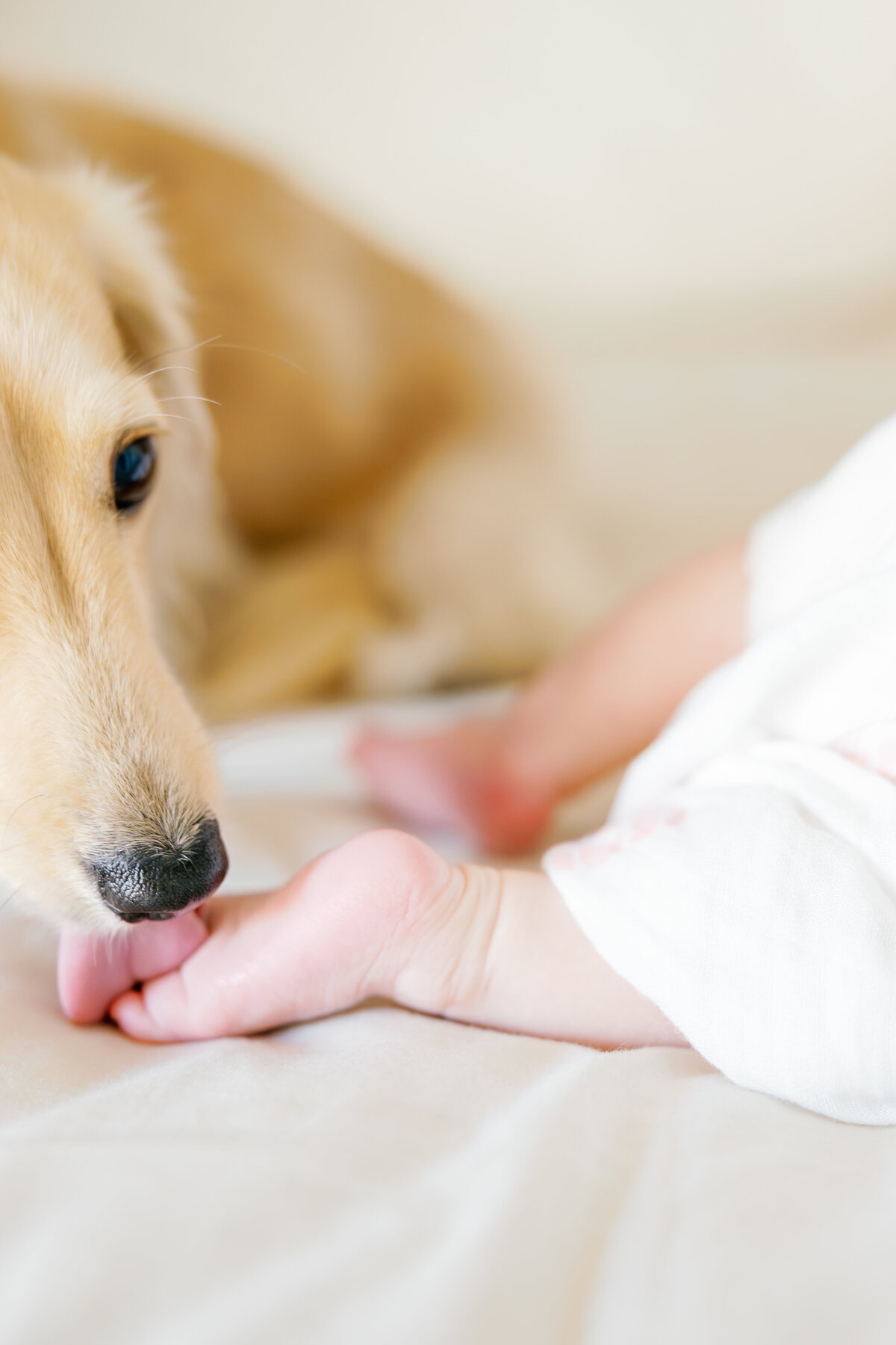 Wilmington Newborn Session