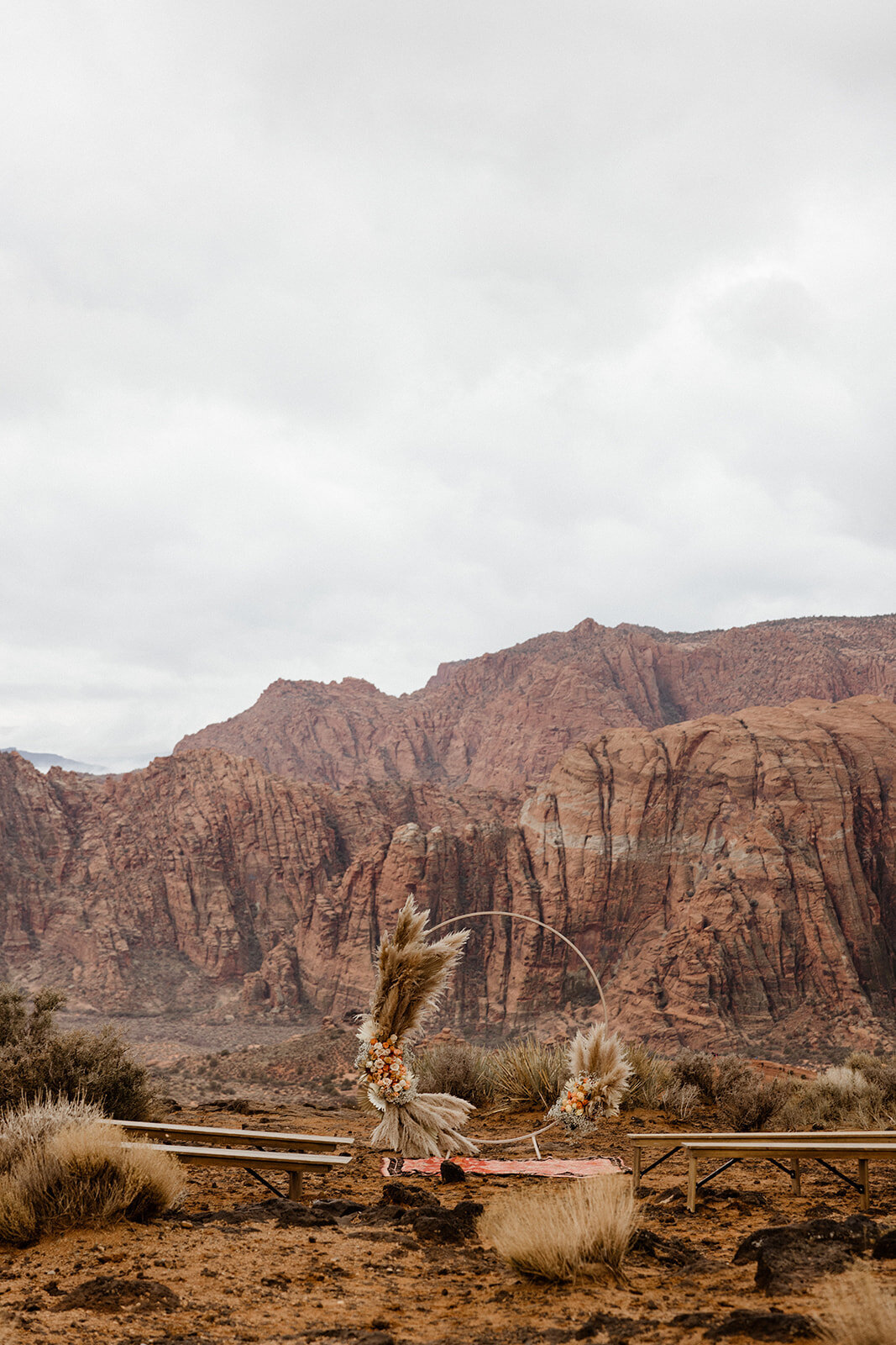 ZionSnowCanyon-dallinhassard-2234