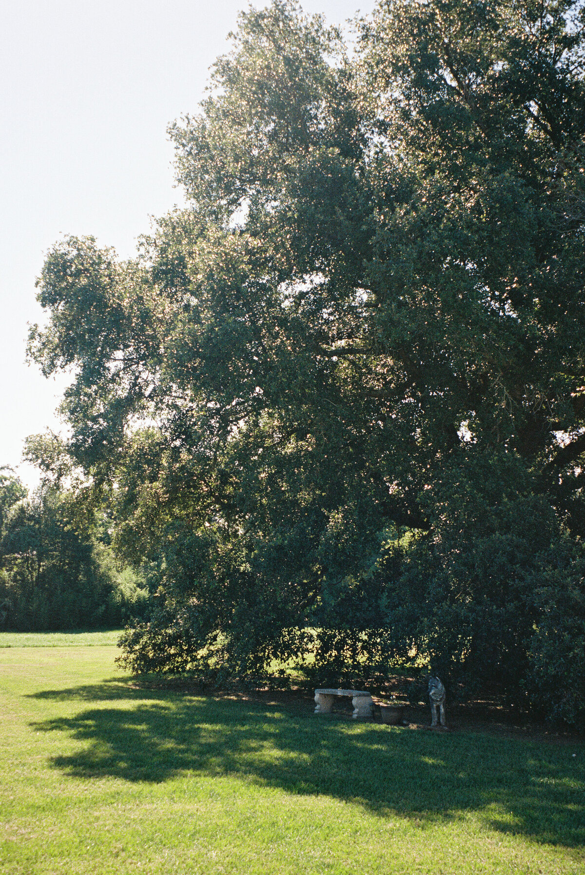 Brock Film - Tailored Photos 4