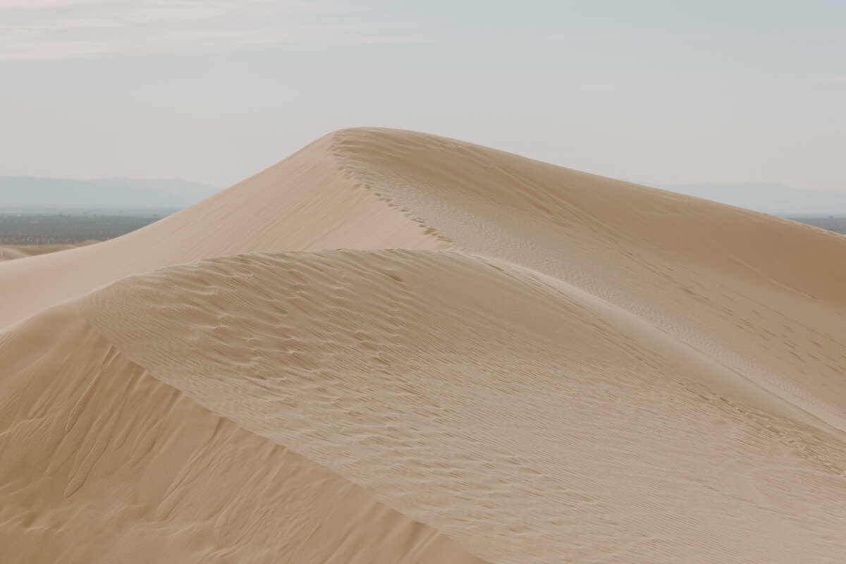 HumbleGroundsPhotographySandDunes-57