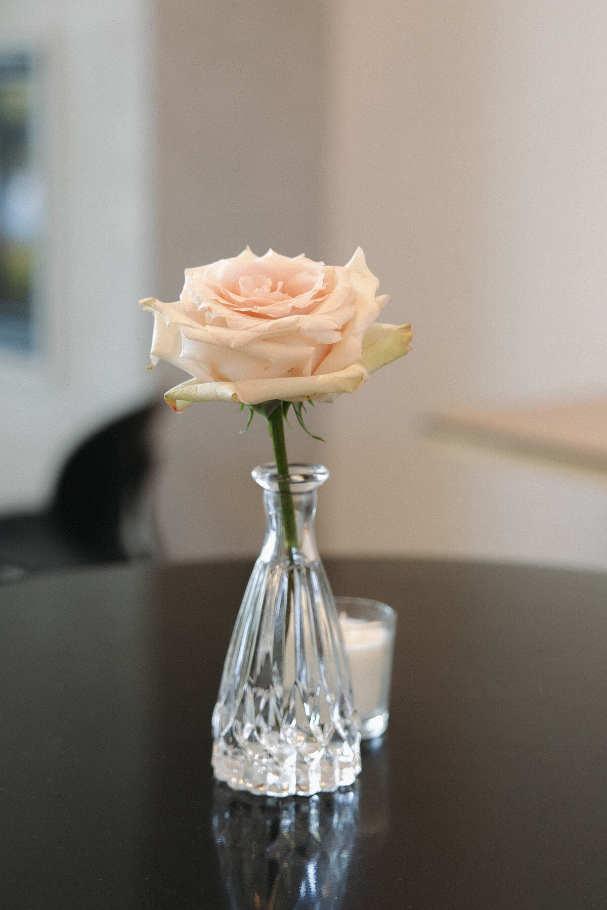 A single light pink rose that is beginning to wilt on the very edges in a clear small bud vase. 