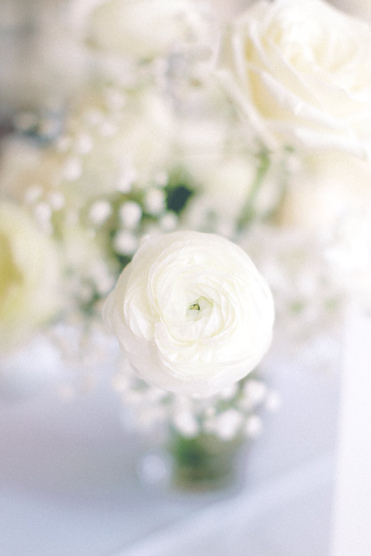 Frances_Floral_Design_Wedding_Flowers_Ohio_12
