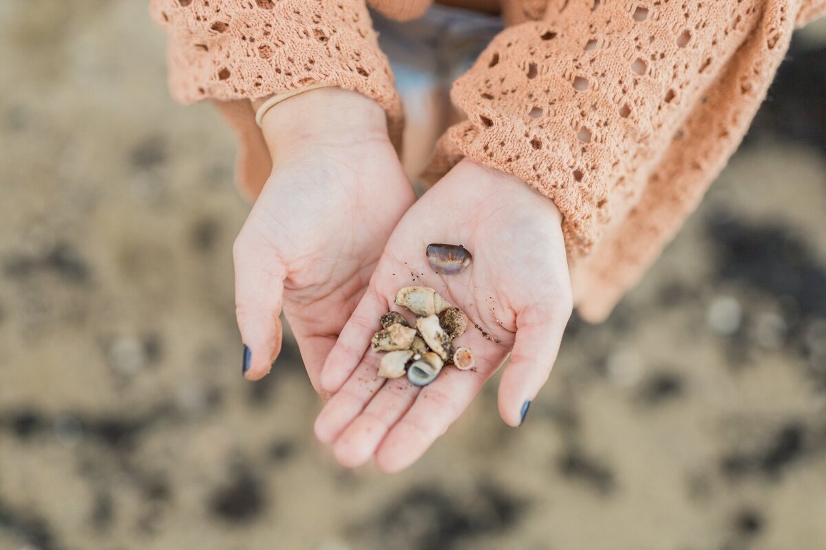 finding shells on the beach on the big island