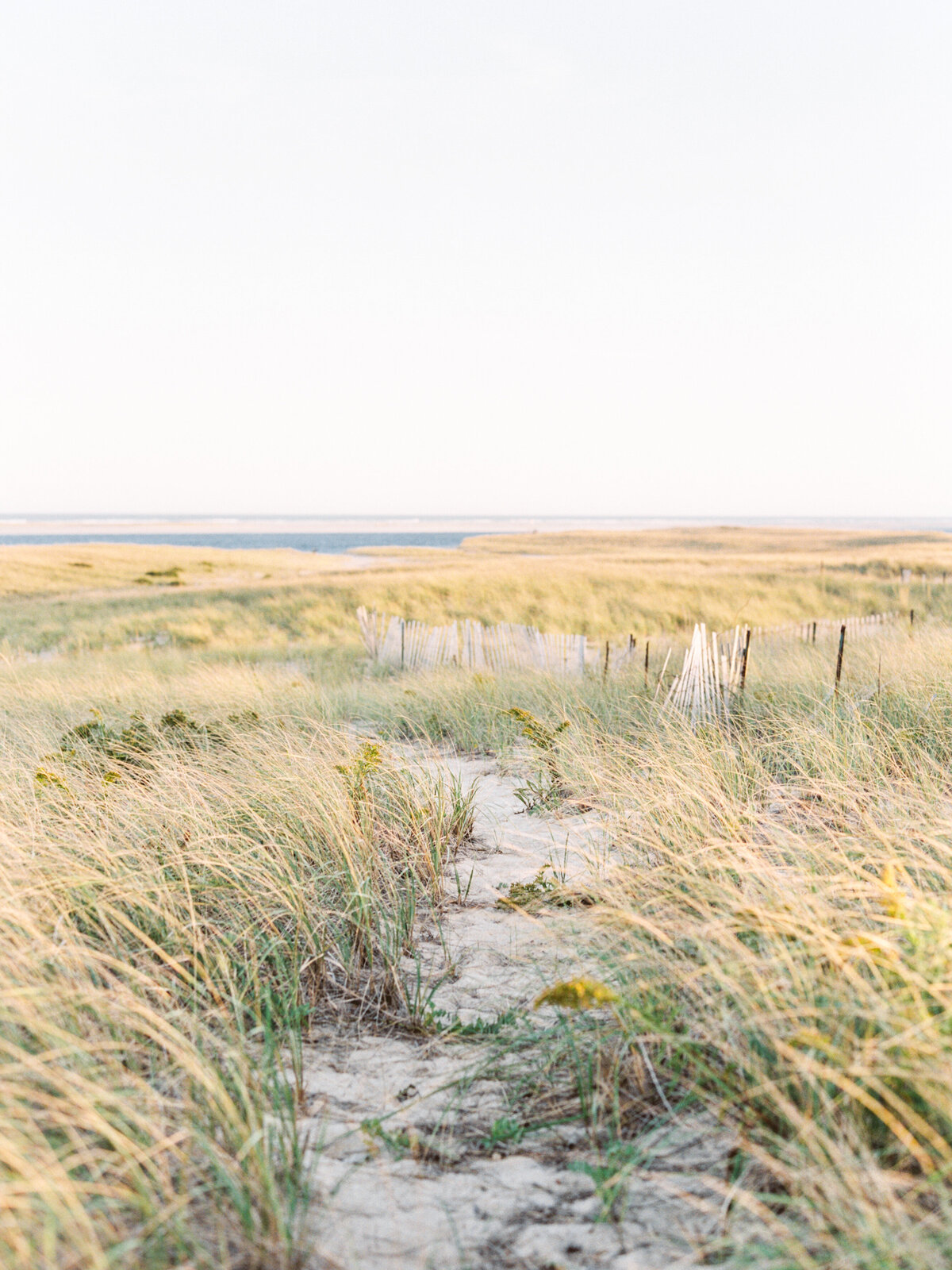 Cape Cod Engagement-01-5