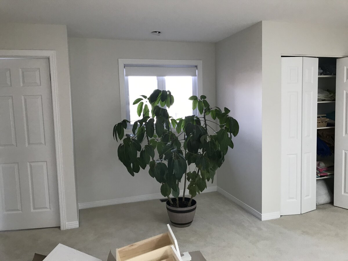This generous nook in a 2nd floor landing needed a creative eye to turn it into a functional home office space. 