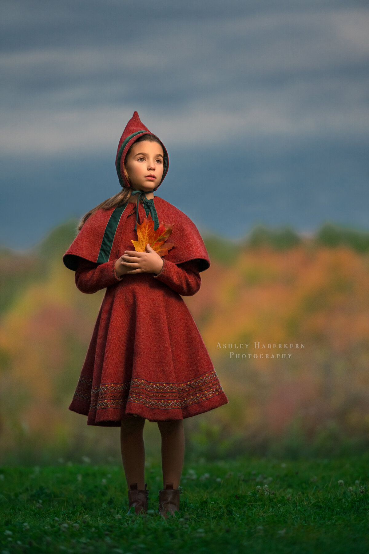 _DSC0484_2