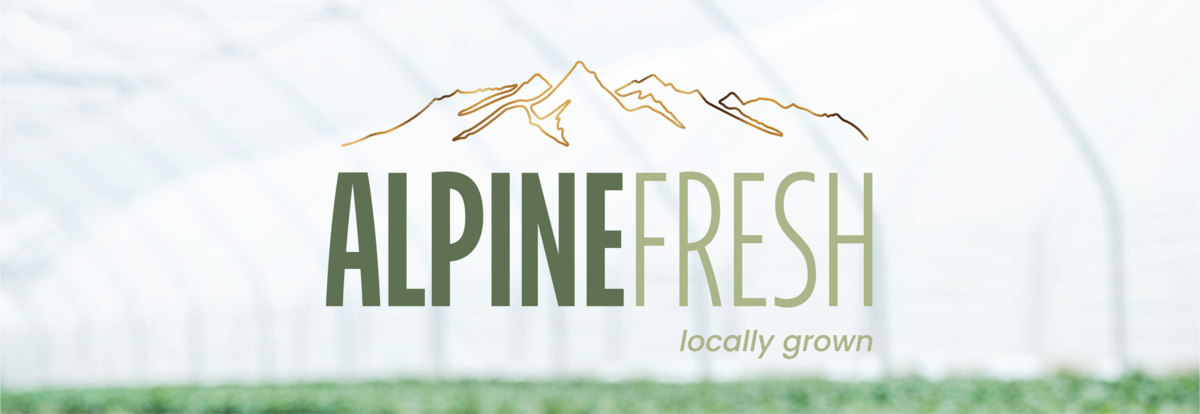 Logo design in Wanaka, New Zealand
