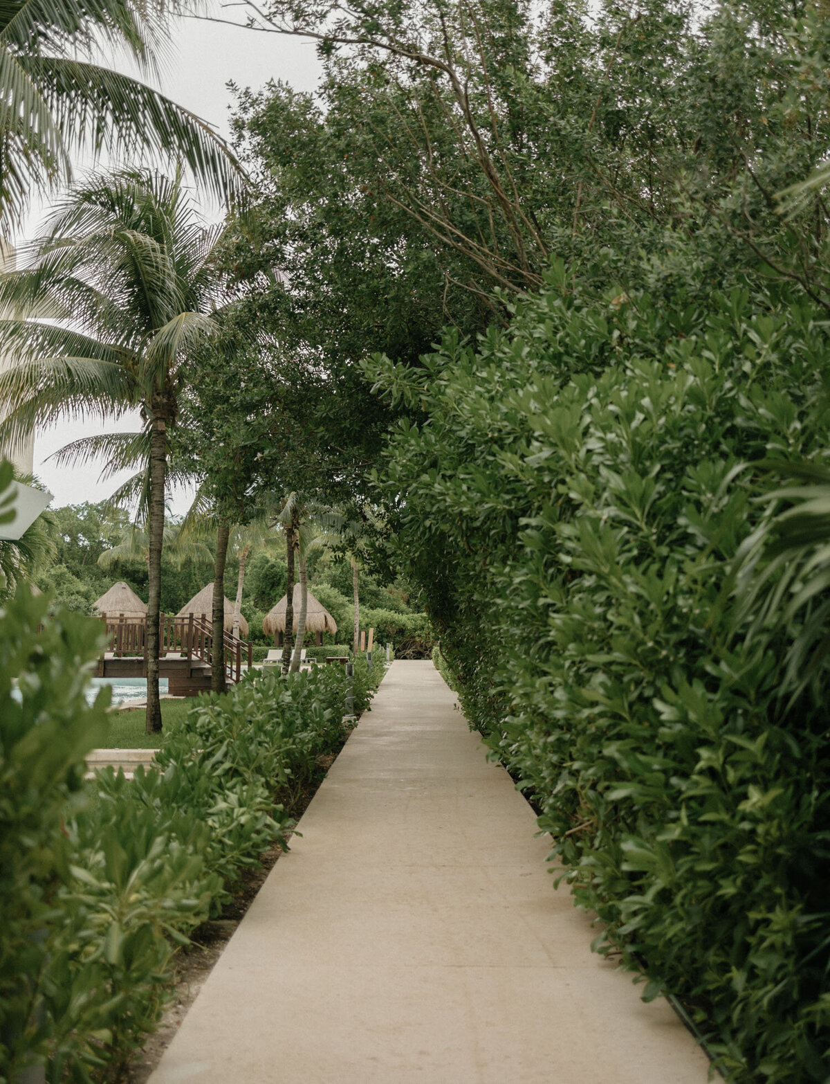 Lush grounds of resort in Mexico, Paradisus playa del carmen