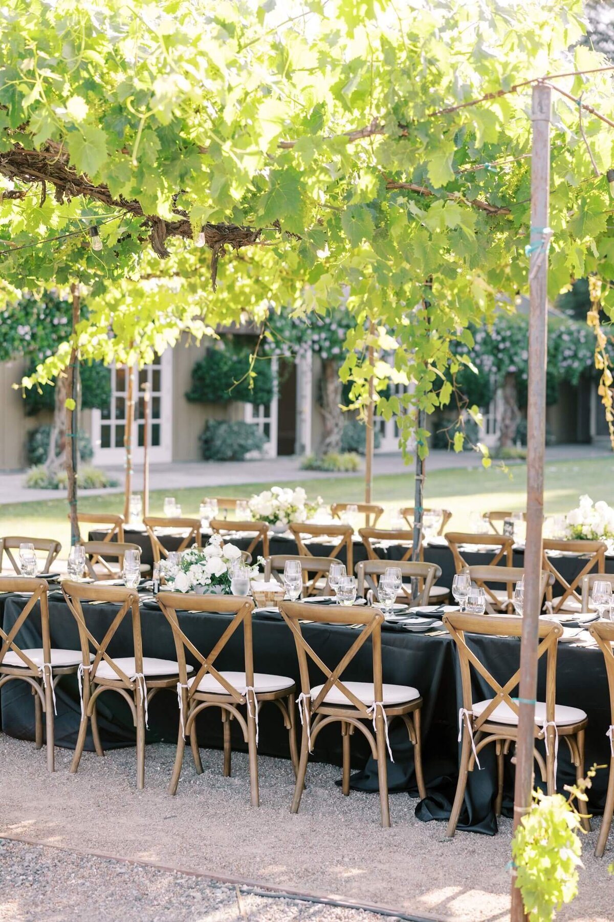 Trentadue winery napa california_0022