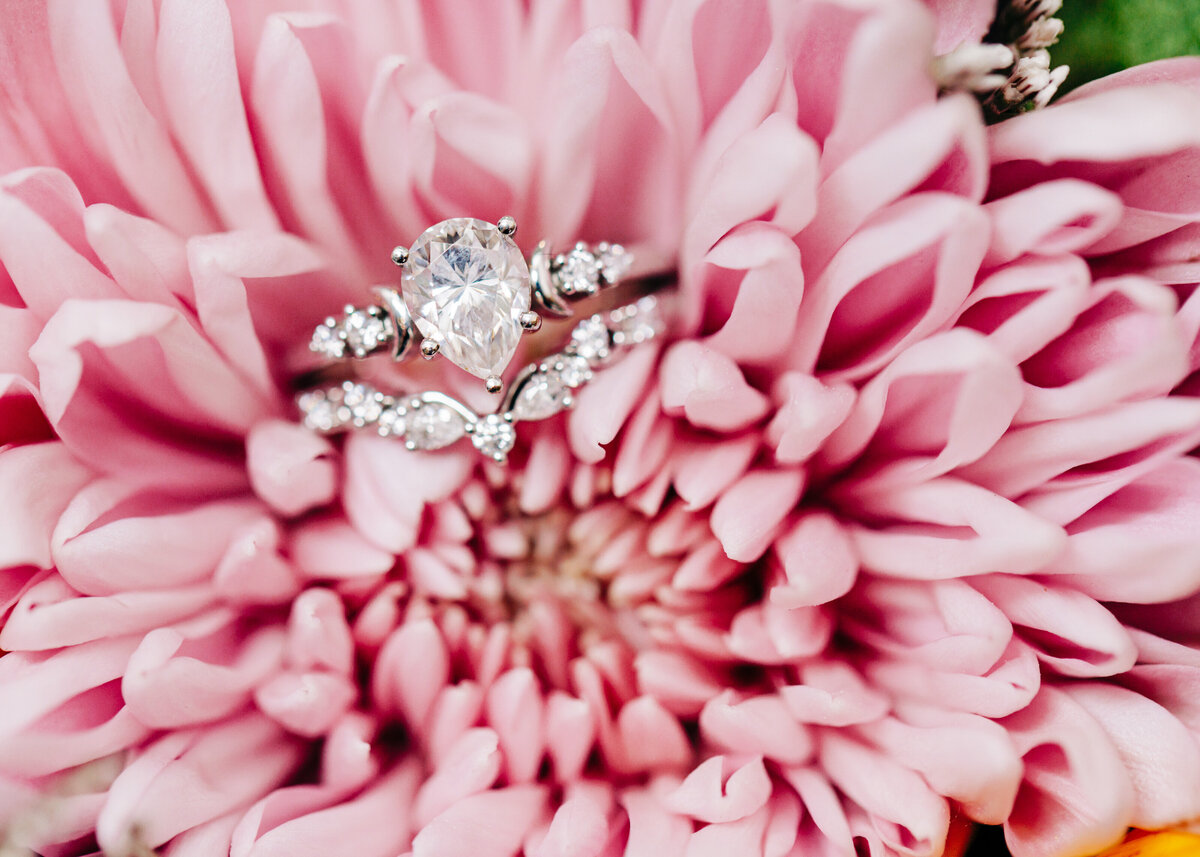 Wedding detail photo of rings on pink flower