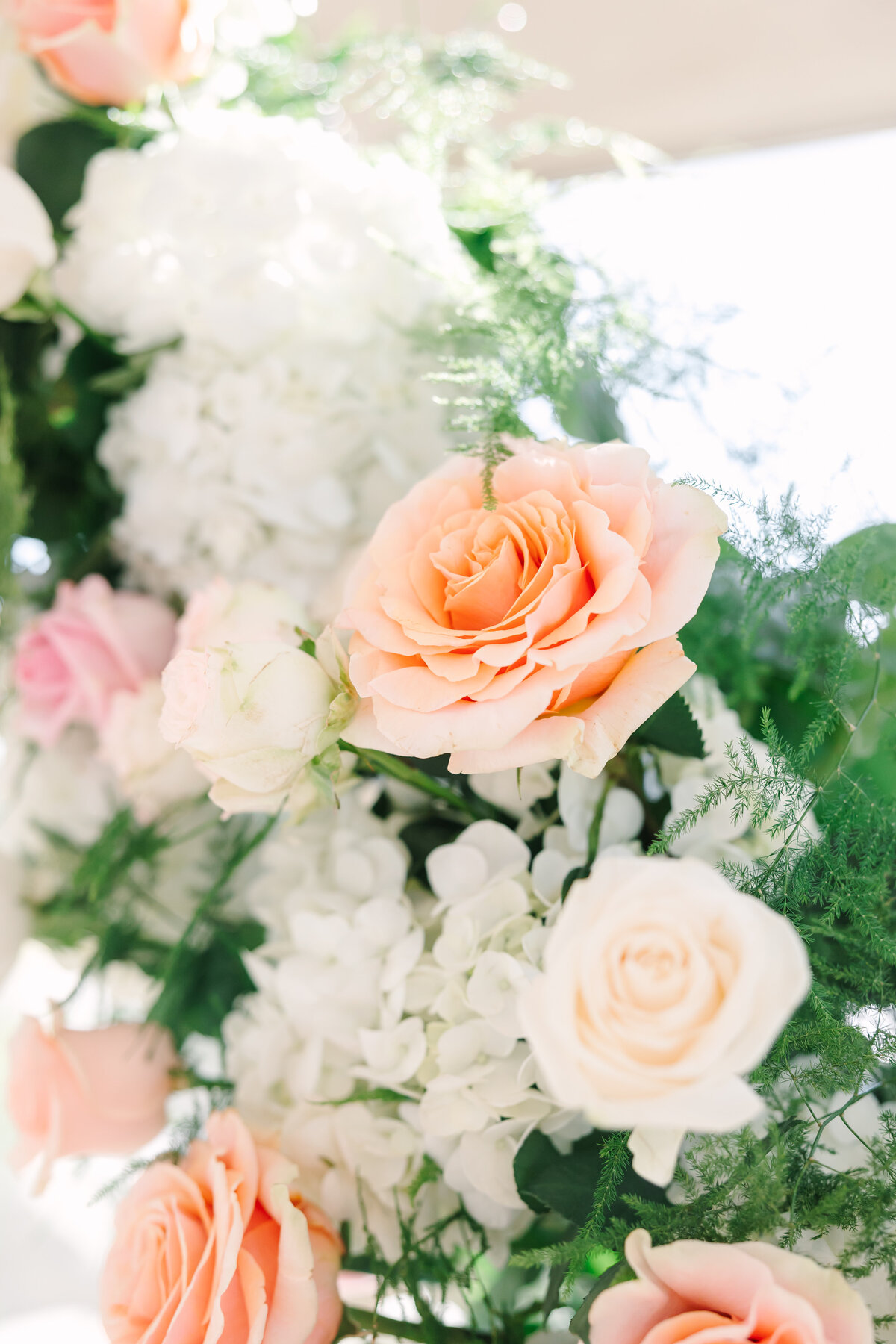 hannahwayphotography.com-289