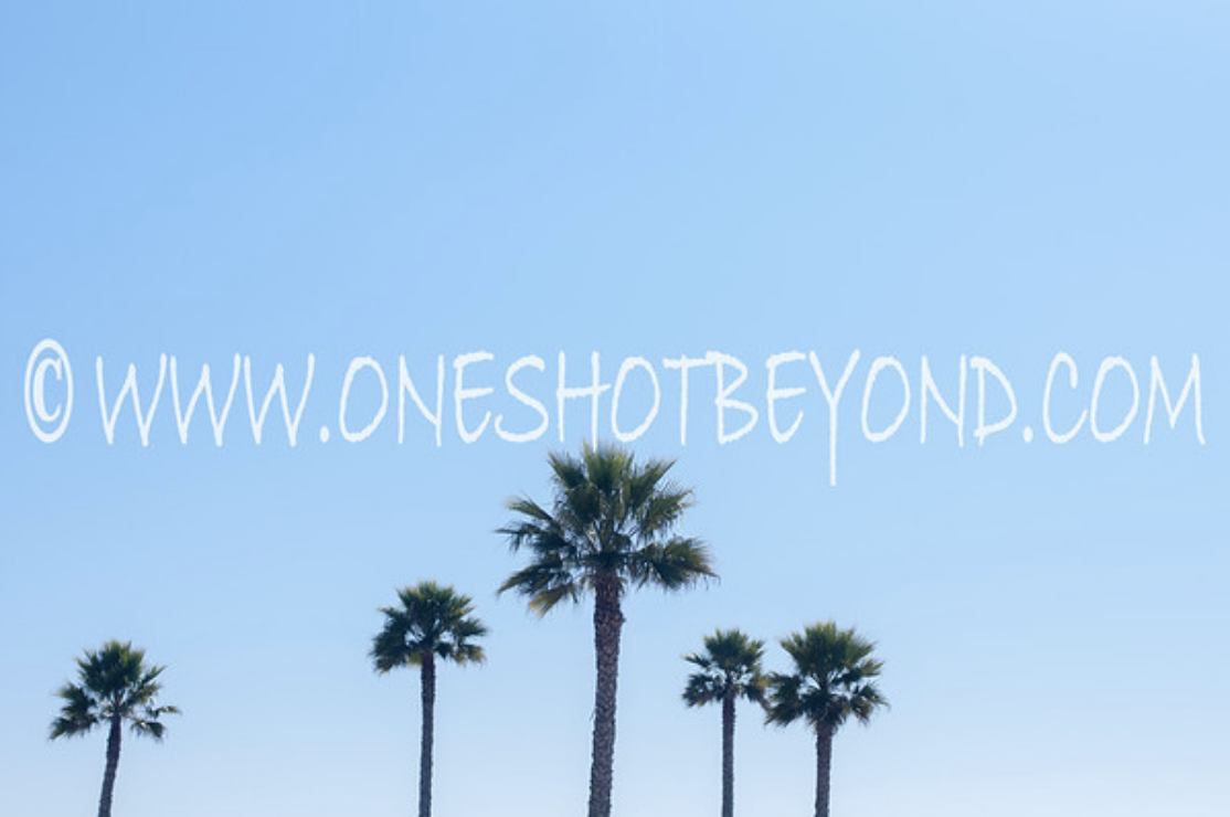 Stunning Professional Photography in Southern California | One Shot Beyond Photography.