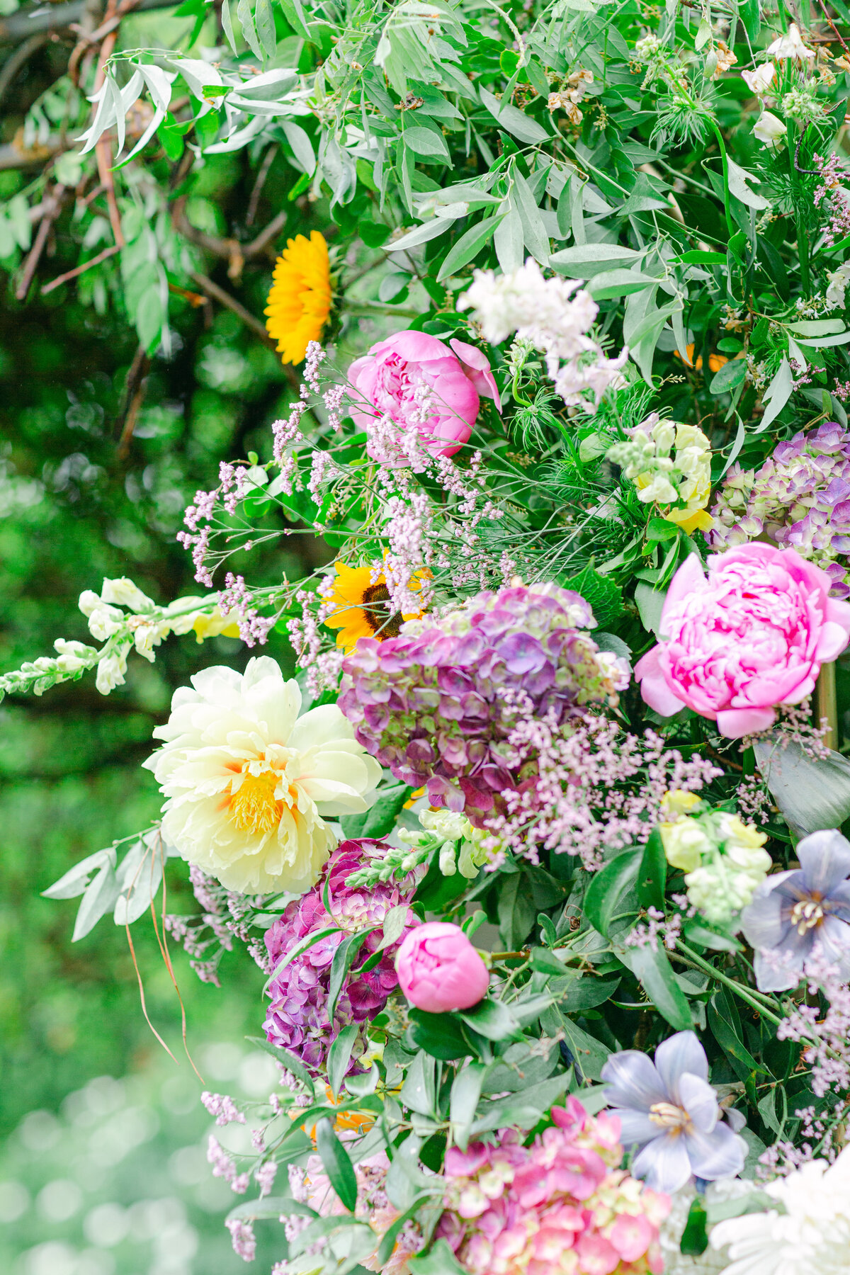 marievioletphotography_ATDW-4141
