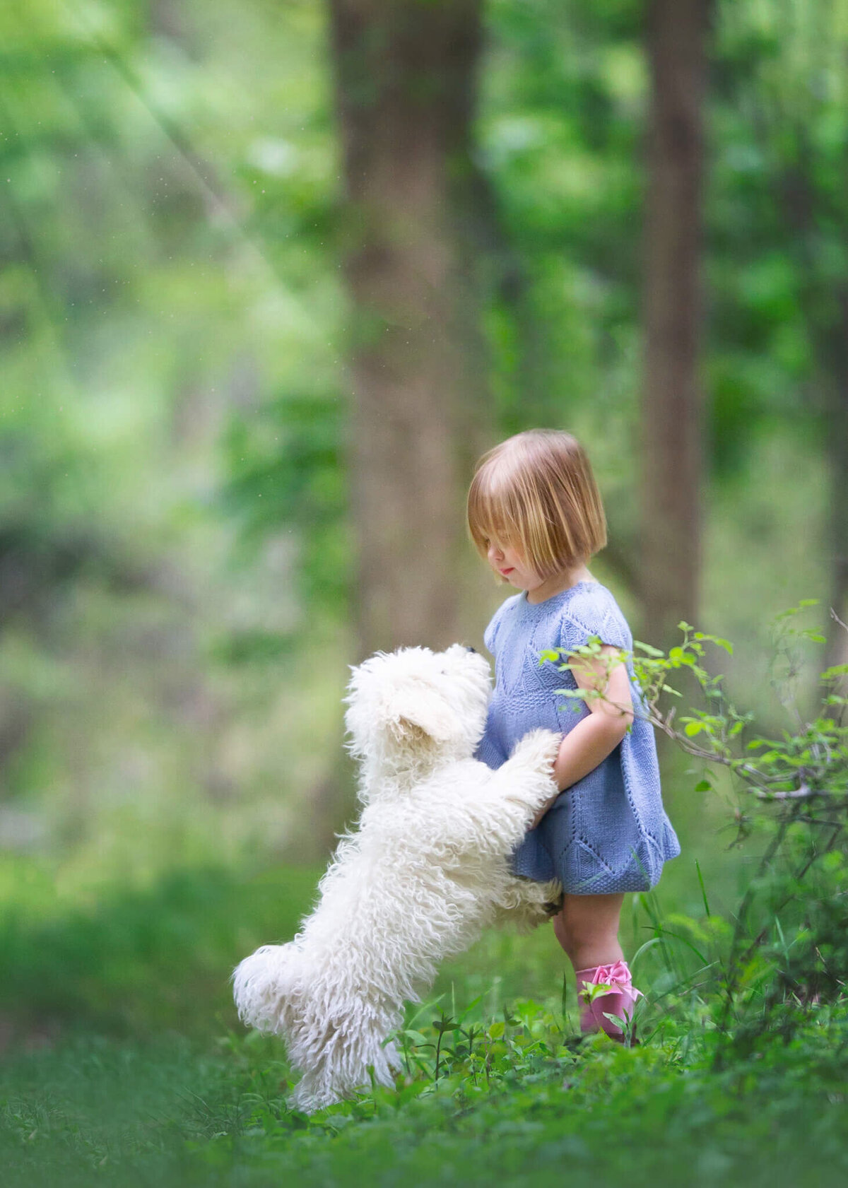 Little girl with her puppy in the park wearing a blue dress