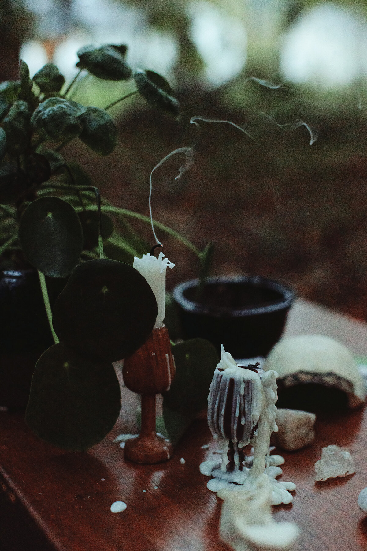 Desk in the forest with a plant, goblet, and candles