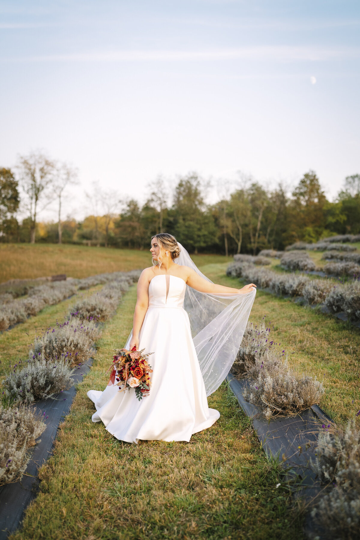WVWedding-193