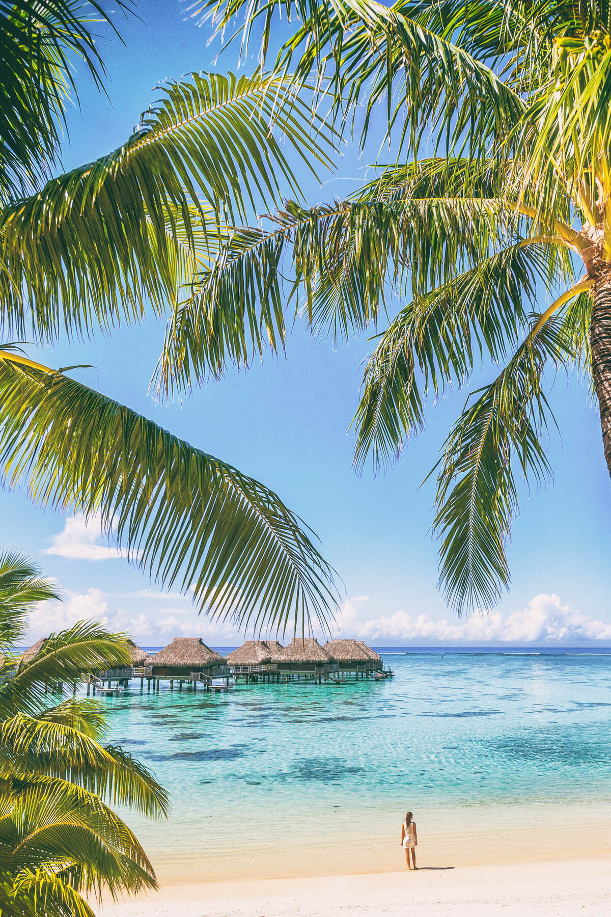 Champgane and Sunset Vacations